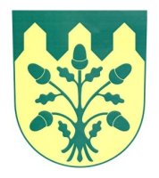 Silniční běh - Velká Morava